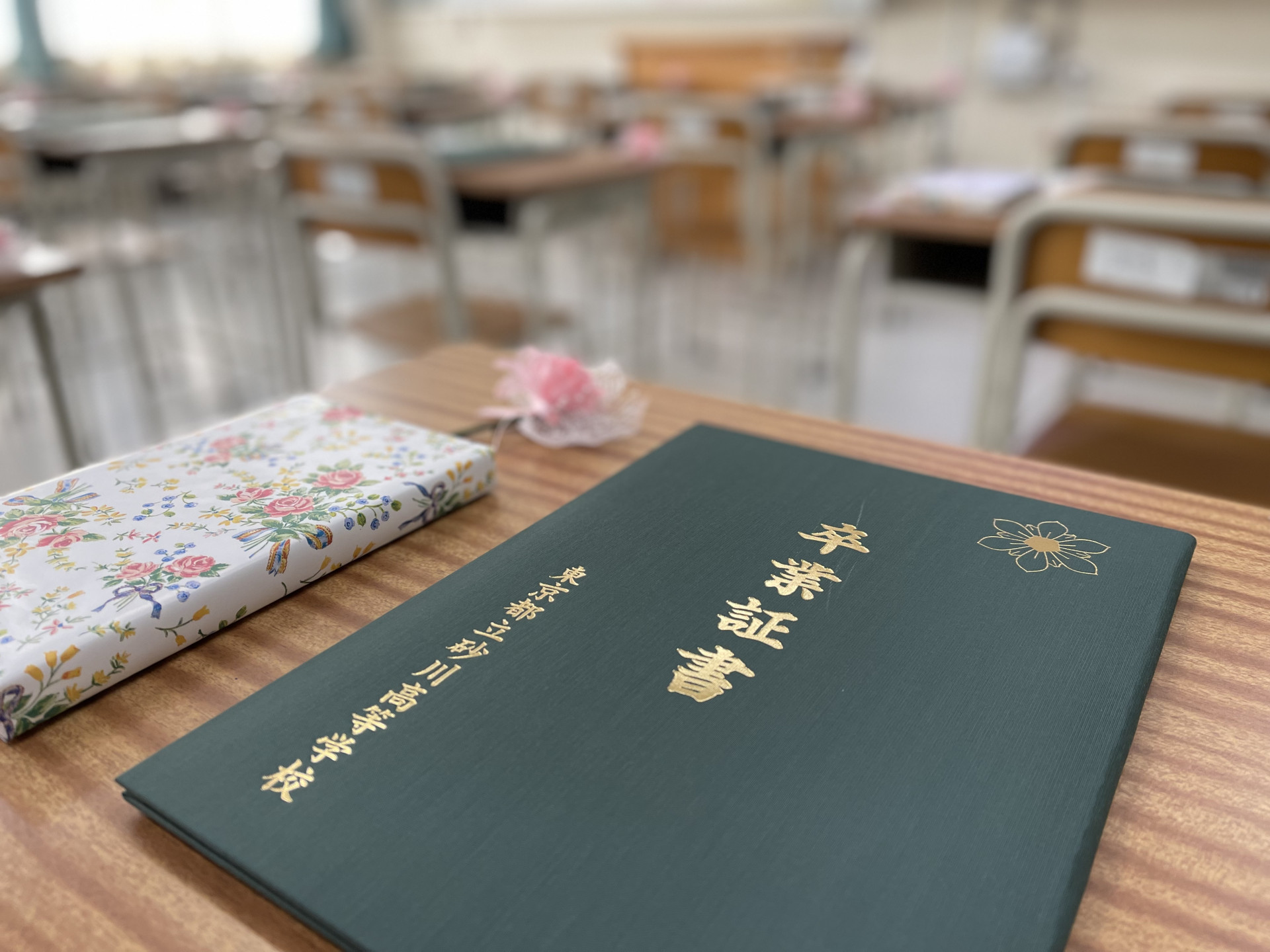 Image - 2026-03-16T140831.758